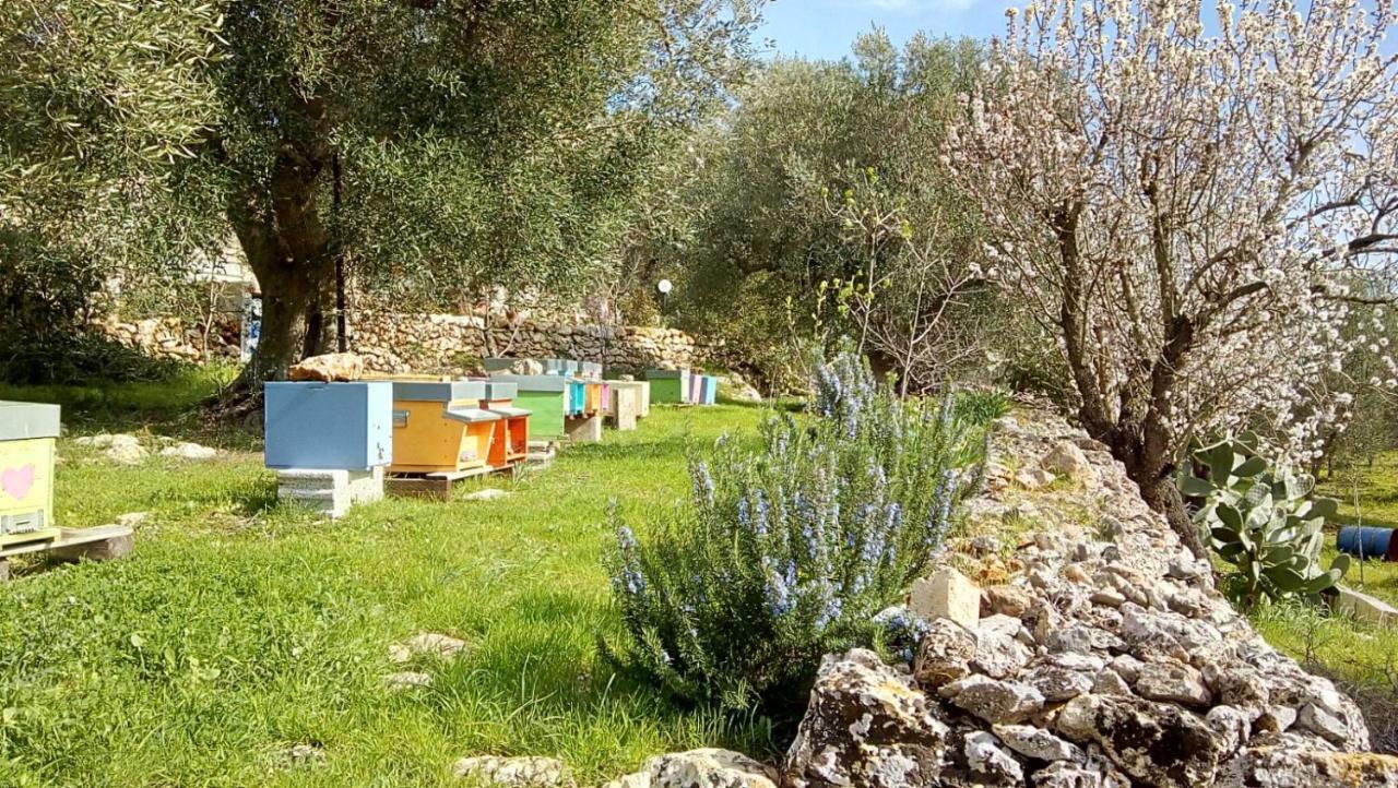 Vivere Ostuni Eksteriør bilde